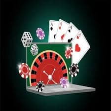 wildbets